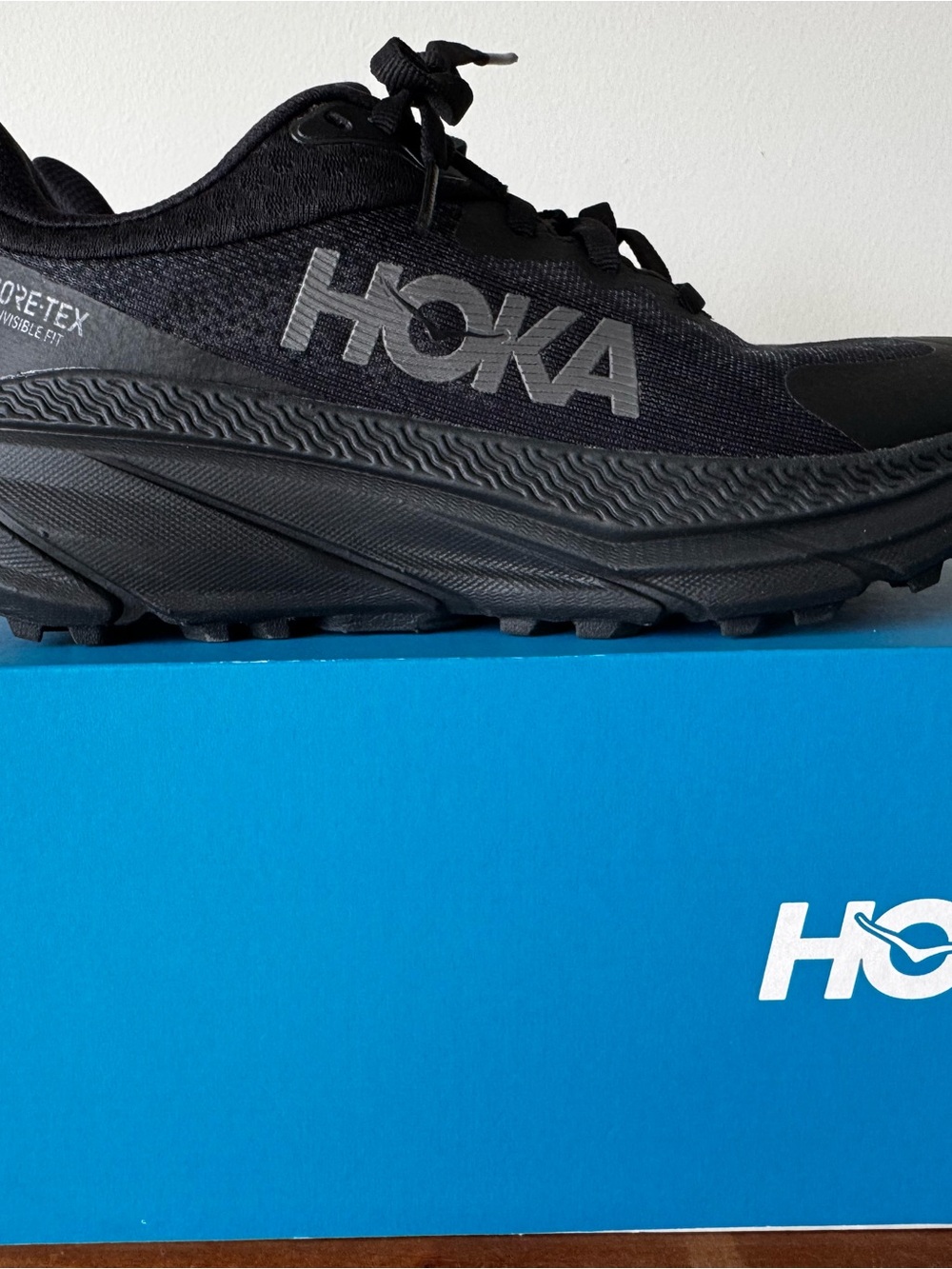 HOKA Challenger ATR 7 GTX – Women’s 6 – Black/Black